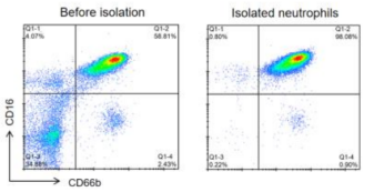 1758695797967440.png 1758695797967440.png