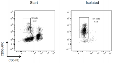 1775531436222603.png image.png